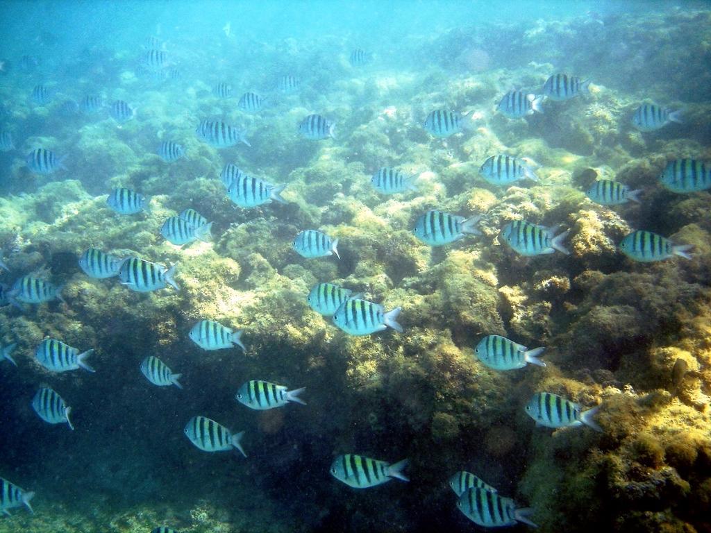 Pousada Sabrinna Maceió 외부 사진